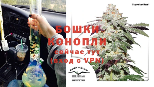 стафф Аркадак