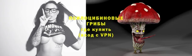 скорость Алексин