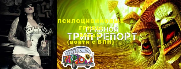 каннабис Алзамай